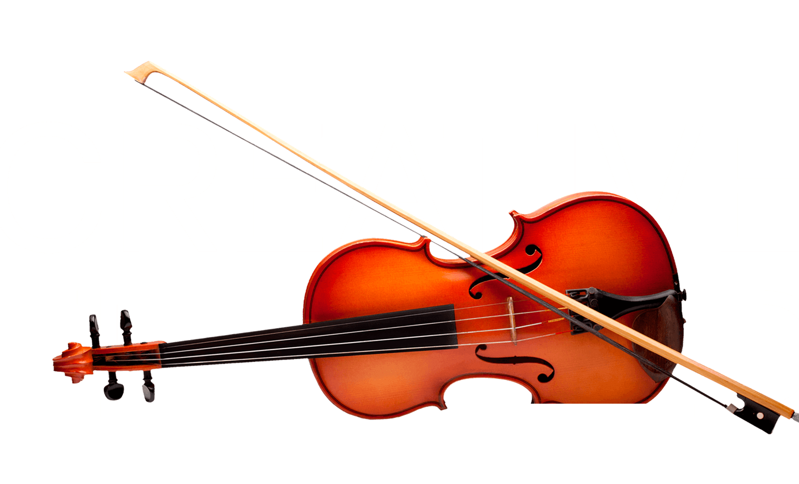 Creative FED